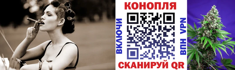 Меф Медынь