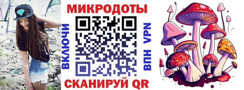 Купить закладки  Медынь  Псилоцибиновые грибы мицелий 
